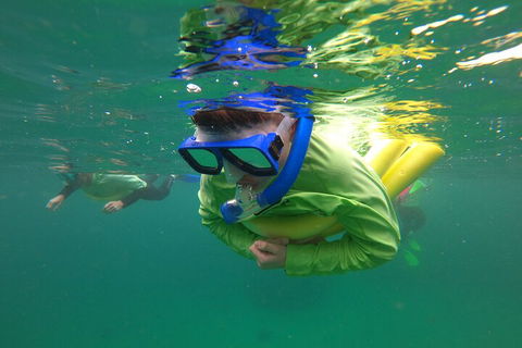 Manly Snorkel Trip And Nature Walk With Local Guide - Accommodation Newcastle 5