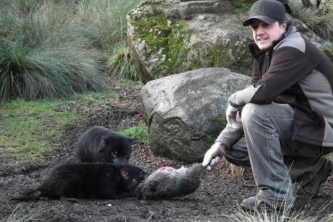 After Dark Tasmanian Devil Feeding Tour At Cradle Mountain - Accommodation Newcastle 2