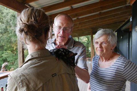 Sunset Experience - Accommodation Newcastle 1