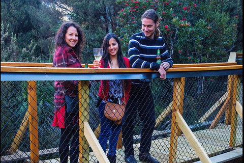 Sunset Experience - Accommodation Newcastle 2