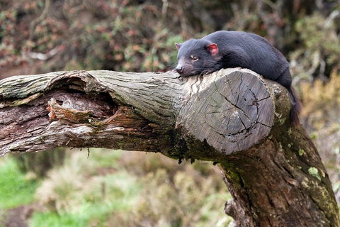 Day Keeper Tour - Accommodation Newcastle 0