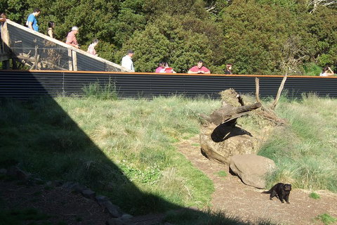 Day Keeper Tour - Accommodation Newcastle 2