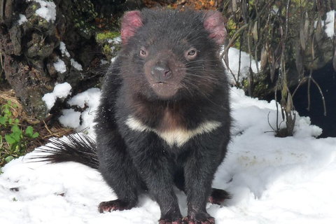 Day Keeper Tour - Accommodation Newcastle 4