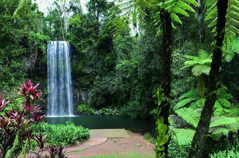 Paronella Park And Millaa Millaa Falls Full-day Tour From Cairns - Accommodation Newcastle 3