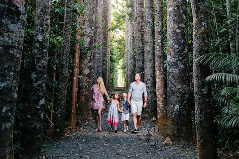 Paronella Park And Millaa Millaa Falls Full-day Tour From Cairns - Accommodation Newcastle 5