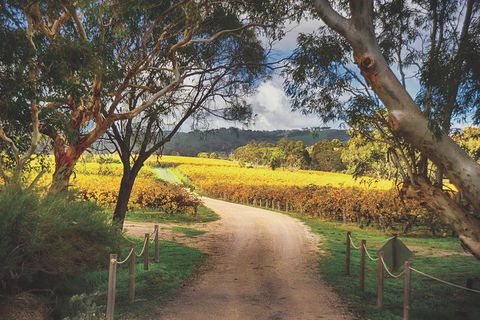 McLaren Vale Winery Small Group Tour With Wine Tasting And Lunch - Accommodation Newcastle 1