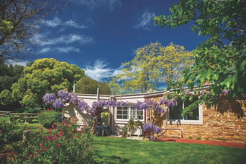 McLaren Vale Winery Small Group Tour With Wine Tasting And Lunch - Accommodation Newcastle 2