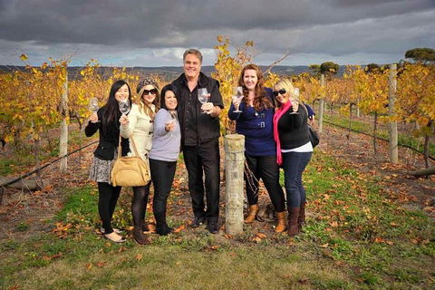McLaren Vale Winery Small Group Tour With Wine Tasting And Lunch - Accommodation Newcastle 3