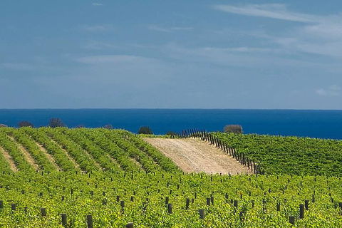 McLaren Vale Winery Small Group Tour With Wine Tasting And Lunch - Accommodation Newcastle 4