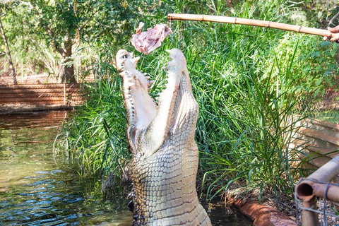 3 In 1 Tour: Matsoâ€™s Brewery, Broome Museum & Malcolm Douglas Crocodile Park - Accommodation Newcastle 3