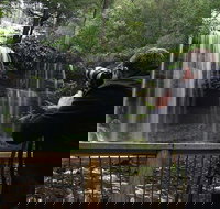 Mt Field and Styx Valley Photography Tour - Accommodation Newcastle