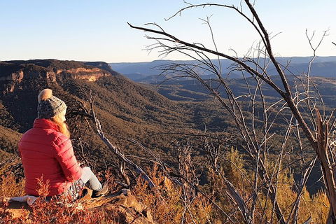 Ultimate Blue Mountains Waterfalls, Walks & Sunset PRIVATE Tour - Accommodation Newcastle 2