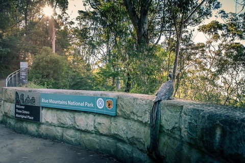 Ultimate Blue Mountains Waterfalls, Walks & Sunset PRIVATE Tour - Accommodation Newcastle 3