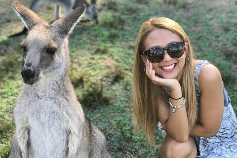 PJ Blue Mountains Supreme Day Tour - Accommodation Newcastle 2