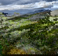 3-Day Tour to the Falls Mountains Lake  More of West Coast Tasmania - Accommodation Newcastle