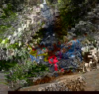 5-Day Lap of Tasmania Tour from Hobart flexible ticket - Accommodation Newcastle