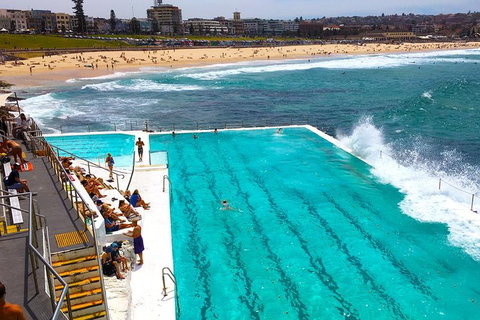 Private Sydney Half Day Tour Including Sydney Opera House And Bondi Beach - Accommodation Newcastle 1