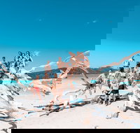 4 Day  3 Night Whitsunday Islands  Outer Reef Sailing Adventure on Condor - Accommodation Newcastle