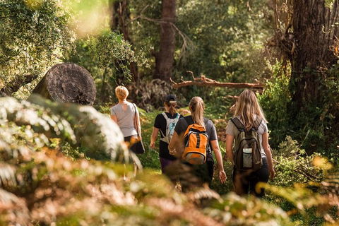 Cabaret Cave Yoga & Mindful Hike - Accommodation Newcastle 2