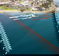 Phillip Island Helicopter Tour - Accommodation Newcastle
