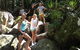 Byron Bay Combo: Hinterland Tour Including Minyon Falls And Kayaking With Dolphins - thumb 4
