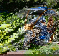 Adelaide 90-Minute Pedicab Tour Scenic Green  River Experience - Accommodation Newcastle