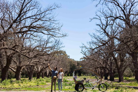 Adelaide 90-Minute Pedicab Tour: Scenic Green & River Experience - Accommodation Newcastle 1