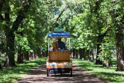 Adelaide 90-Minute Pedicab Tour: Scenic Green & River Experience - Accommodation Newcastle 2