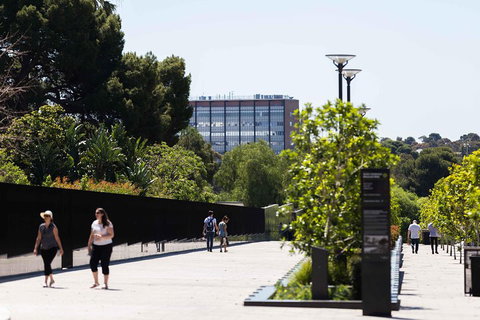 Adelaide 90-Minute Pedicab Tour: Scenic Green & River Experience - Accommodation Newcastle 4