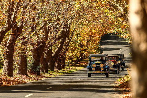 Blue Mountains Vintage Cadillac Tour With Local Guide - Accommodation Newcastle 1