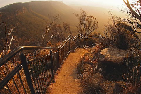 Blue Mountains Vintage Cadillac Tour With Local Guide - Accommodation Newcastle 3