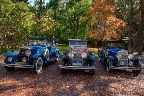 Blue Mountains Vintage Cadillac Tour With Local Guide - Accommodation Newcastle 4