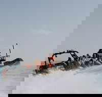 Adventure Whale Watching Tour Mooloolaba - Accommodation Newcastle