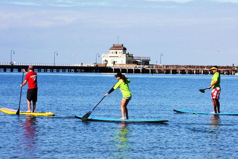 Private Stand-Up Paddle Board Lesson At St Kilda - Accommodation Newcastle 1