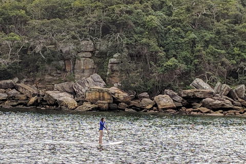 Manly & Sydney's Northern Beaches With 'Personalised Sydney Tours' - Accommodation Newcastle 3
