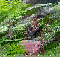 Full-Day Guided Hinterland Adventure Tour in Queensland - Accommodation Newcastle