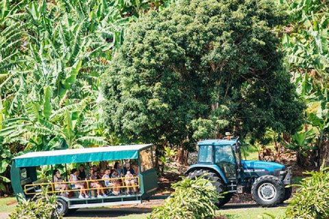 Tropical Fruit World With Wildlife Boat Cruise From Gold Coast - Accommodation Newcastle 1