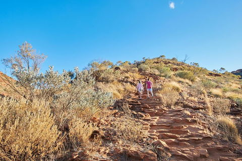 Kings Canyon Guided Rim Walk - Accommodation Newcastle 1