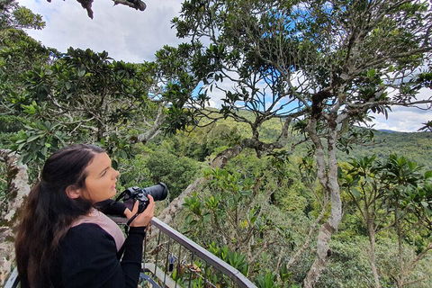 Lamington National Park, O'Reilly's & Vineyard Tour - Accommodation Newcastle 1