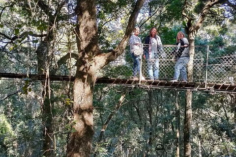 Lamington National Park, O'Reilly's & Vineyard Tour - Accommodation Newcastle 2