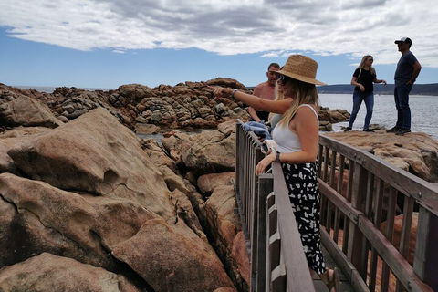Margaret River Impression Day Tour From Perth - Accommodation Newcastle 4