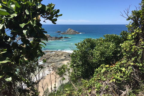 Behind The Bay - Explore Like A Local - Accommodation Newcastle 1