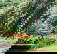 Tropical Fruit World Farm Full Tour - Accommodation Newcastle