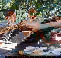 Full-day Wine-Tasting and Tamborine Mountain Tour with Lunch - Accommodation Newcastle