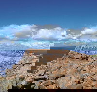 4 Day Tour Albany Margaret River Valley of the Giants TreeTop Walk from Perth - Accommodation Newcastle