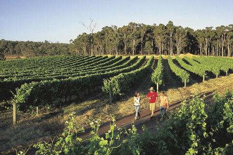 Margaret River, Caves, Wine And Cape Leeuwin Lighthouse Tour From Perth - Accommodation Newcastle 1
