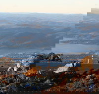 Mt. Wellington Bonorong and Richmond Day Tour from Hobart - Accommodation Newcastle