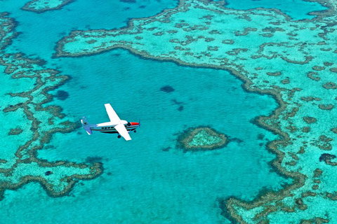 Fly & Sail Package (With Providence) - Accommodation Newcastle 4