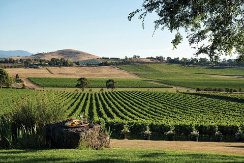 Yarra Valley Premium Tour Inc Lunch And Cheese, Chocolate Fondue At Rochford - Accommodation Newcastle 1