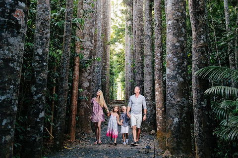 The Original Day Tour To Paronella Park, Lake Barrine And Millaa Millaa Falls - Accommodation Newcastle 1